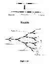 Fig. 08 - Thermoset polymides for microelectronic applications