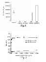 Fig. 06 - HA binding agents