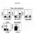 Fig. 05 - Antibody that binds domain 2 of ICAM-1 and methods of treatment