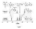 Fig. 02 - Covalent Organic Frameworks and Methods of Making Same