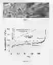 Fig. 05 - Covalent Organic Frameworks and Methods of Making Same