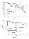 Fig. 17 - Covalent Organic Frameworks and Methods of Making Same