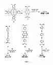 Fig. 24 - Covalent Organic Frameworks and Methods of Making Same