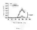 Fig. 02 - Thiazole compounds, methods for preparation and use thereof
