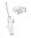 Fig. 09 - Implantable article and method