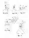 Fig. 19 - Organ manipulator apparatus