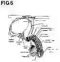 Fig. 07 - Magic genie developer