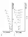 Fig. 07 - Neuromonitoring systems and methods