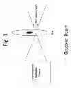Fig. 02 - Application of Electromagnetic Radiation to the Human Iris