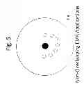 Fig. 06 - Application of Electromagnetic Radiation to the Human Iris