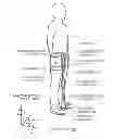 Fig. 01 - Exercise support apparatus and exercise support method