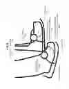 Fig. 07 - Exercise support apparatus and exercise support method
