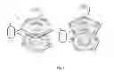 Fig. 10 - Circulatory flow restoration device