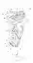 Fig. 01 - ADJUSTABLE CUFF KNEE BRACE