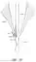 Fig. 35 - Suturing devices and methods for suturing an anatomic valve