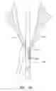 Fig. 37 - Suturing devices and methods for suturing an anatomic valve