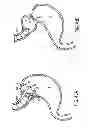 Fig. 41 - APPARATUS AND METHODS FOR FORMING AND SECURING GASTROINTESTINAL TISSUE FOLDS