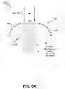 Fig. 12 - Methods for treating skin laxity