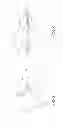 Fig. 06 - Method of implanting an adjustable occlusion device