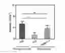 Fig. 01 - Adhesive articles containing a combination of surface micropatterning and reactive chemistry and methods of making and using thereof