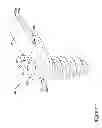 Fig. 02 - VERTEBRAL FIXATION SYSTEM