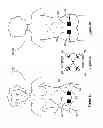 Fig. 09 - Transcutaneous stimulation method and system