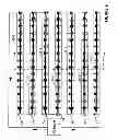 Fig. 06 - Light and bioelectric therapy pad