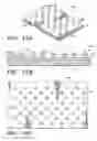 Fig. 06 - ECM constructs for tissue regeneration