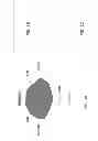 Fig. 04 - Patella implant systems and patella trials for selecting same