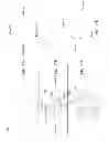 Fig. 17 - Patella implant systems and patella trials for selecting same