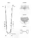 Fig. 03 - Method apparatus of a liner interface with neural receptors
