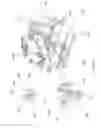 Fig. 40 - Facility wide mixed mail sorting and/or sequencing system and components and methods thereof