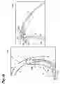 Fig. 20 - Parking assistance device