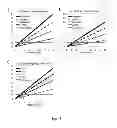 Fig. 05 - Dynamic and Differential Analysis