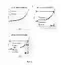 Fig. 11 - Dynamic and Differential Analysis