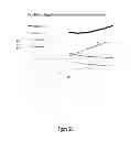 Fig. 25 - Dynamic and Differential Analysis