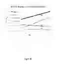 Fig. 27 - Dynamic and Differential Analysis