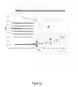 Fig. 31 - Dynamic and Differential Analysis