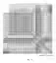 Fig. 14 - Fingerprint for cell identity and pluripotency
