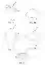 Fig. 08 - TOOLS FOR ENHANCING SURFACE NANOCRYSTALLIZATION AND METHOD FOR MEASURING A NANOCRYSTALLIZATION EFFECT