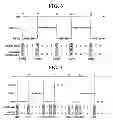 Fig. 06 - PERFORMANCE MEASUREMENT UNIT, PROCESSOR CORE INCLUDING THE SAME AND PROCESS PROFILING METHOD