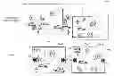Fig. 01 - Information processing to simulate crowd