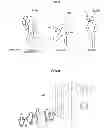 Fig. 10 - Information processing to simulate crowd
