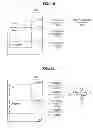 Fig. 12 - Information processing to simulate crowd