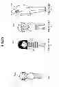 Fig. 22 - Information processing to simulate crowd