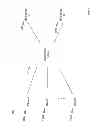 Fig. 02 - Systems and methods for determining a quantitative retail sentiment index from client behavior