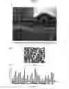 Fig. 09 - System for collecting interest graph by relevance search incorporating image recognition system