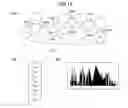 Fig. 25 - System for collecting interest graph by relevance search incorporating image recognition system