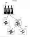 Fig. 27 - System for collecting interest graph by relevance search incorporating image recognition system