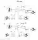 Fig. 34 - System for collecting interest graph by relevance search incorporating image recognition system